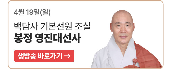 ���� �����뼱�� (����� �ٷΰ���)